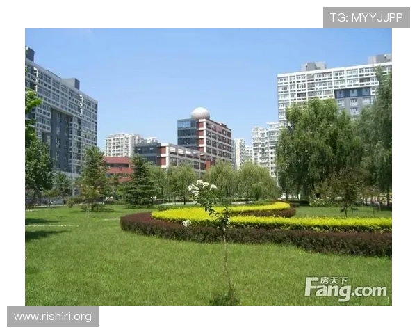 球会体育中心周边交通便利性及环境优势全面评测与推荐指南