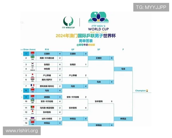2026年世界杯最新球队名单全面解析与详细介绍
