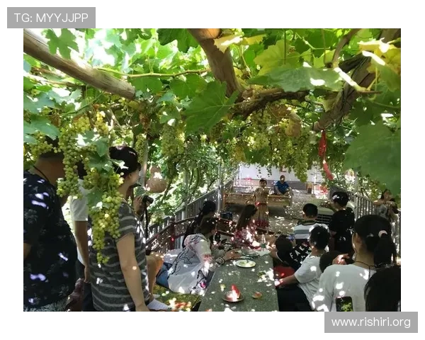 球友会官方网站电脑版常见问题解答，解决您在登录和使用过程中遇到的各种困扰